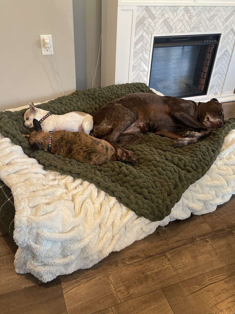 PAWS N CLAWS PET SITTING IN YOUR HOME Updated July 2024 116 Photos