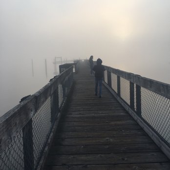 Joemma Beach State Park - Parks Near Me - Longbranch, Washington