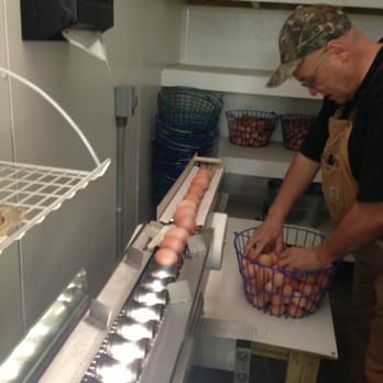 Lake Meadow Naturals - Dale demonstrating egg processing - Farmers Market Near Me - Ocoee, Florida
