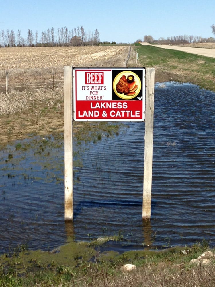 LAKNESS LAND & CATTLE Updated July 2024 44538 184th St, Hayti