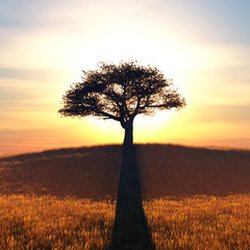 Psycamore Psychiatric Programs - Psycamore Psychiatric, llc Restoring Health, Renewing Hope