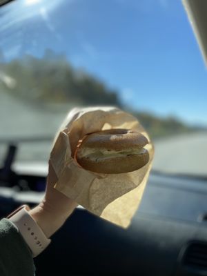 Native Bagel Company