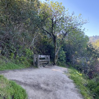 Windy Hill Open Space Preserve - Parks Near Me Windy Hill Open Space Preserve - Parks Near Me
