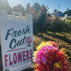 Justy's Produce and Flowers - $2.75 for these 5 blooms
