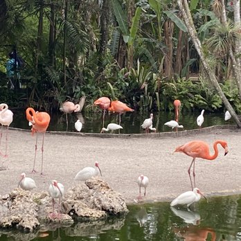 Flamingo Gardens - Botanical Gardens Near Me - Davie, Florida Flamingo Gardens - Botanical Gardens Near Me - Davie, Florida