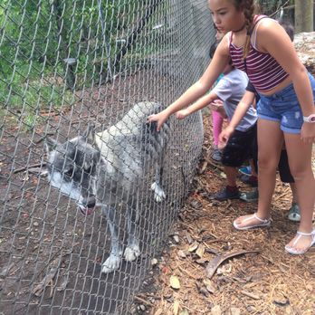 Everglades Outpost - Zoos Near Me - Homestead, Florida
