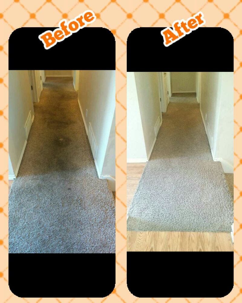 OXI FRESH CARPET CLEANING Updated September 2024 25 Photos