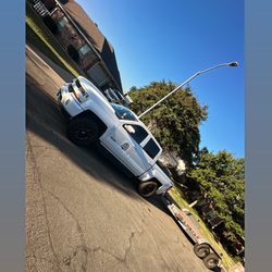 Waco Tree & Lawn Care Solutions