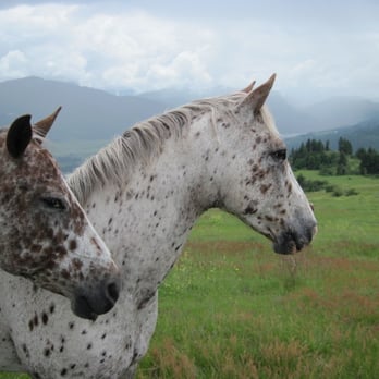 Bull Hill Guest Ranch - COUPLE COOL HORSEA - Horseback Riding Near Me - Kettle Falls, Washington