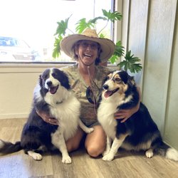 Evergreen Groomery - You're truly an artist, Sarah! Thank you for Mitzi and IO's first spa day ever! Baby Bear will see you next week. You do an amazing job!