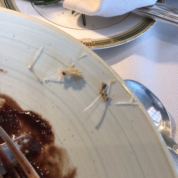 The Lafayette - Bones - New American Near Me - Washington, DC, District of Columbia