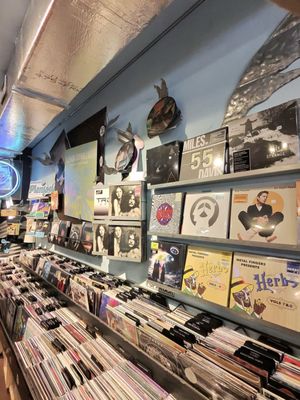 Park Ave CDs by null