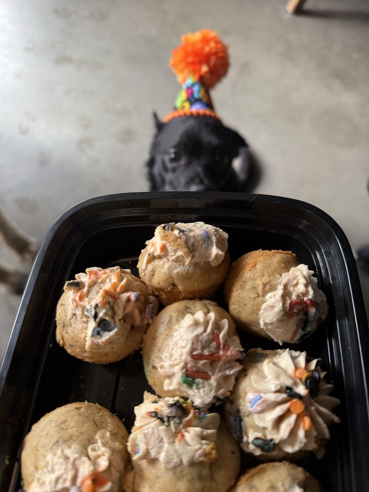 Allie's Doggie Day Camp - pet boarding facility in San Jose, CA