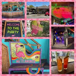Mr. Flamingo - Photo 1: Montage of images from Mr. Flamingo