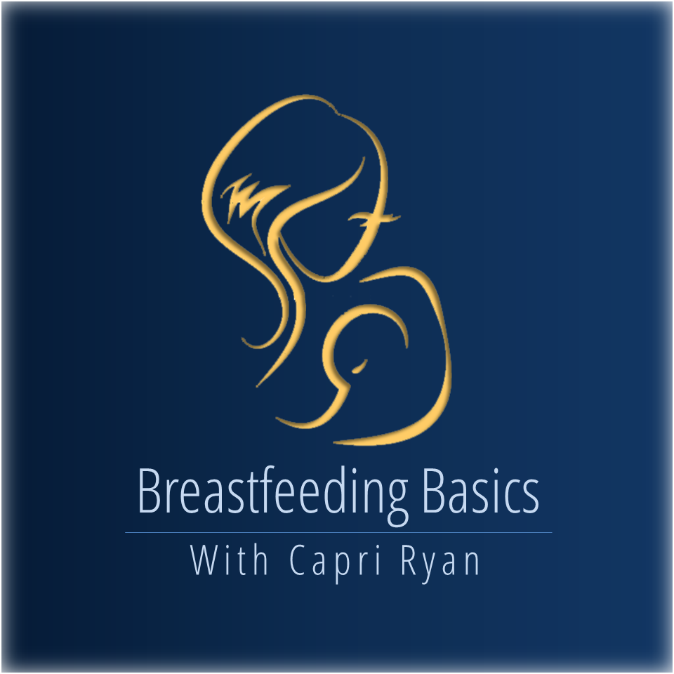 BREASTFEEDING BASICS WITH CAPRI RYAN 101 Davis St S, Burlington