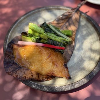 Katsuya Ko - Miso Black Cod - Japanese Near Me - San Diego, California Katsuya Ko - Miso Black Cod - Japanese Near Me - San Diego, California