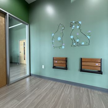Honnas Veterinary - Exam room - Veterinarians Near Me - Austin, Texas