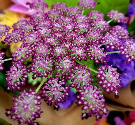 New Seasons Market - Sellwood by null