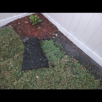 EBP Landscaping - Pulled a piece of sod back that was laid over weeds - Lawn Services Near Me EBP Landscaping - Pulled a piece of sod back that was laid over weeds - Lawn Services Near Me