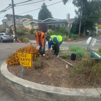 Clogbusters Plumbing & General Building - Sprinkler repair and replacement - Plumbing Near Me - Berkeley, California Clogbusters Plumbing & General Building - Sprinkler repair and replacement - Plumbing Near Me - Berkeley, California