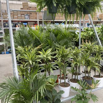 The Home Depot - The Home Depot - garden centre - Hardware Stores Near Me - East York, Ontario