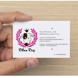Dilan Dog Boutique