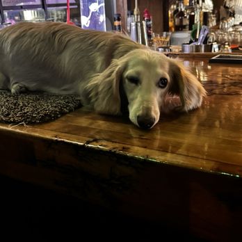 Kelly's Casino - Local visitor - Casinos Near Me - Bigfork, Montana
