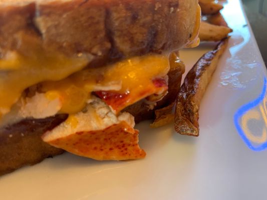 Tauk at Trail's End by null