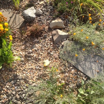 Reynoso's Stoneworks - I wanted a rock garden so they used the leftover Connecticut stones and added pink salmon rocks in between - Masonry/Concrete Near Me Reynoso's Stoneworks - I wanted a rock garden so they used the leftover Connecticut stones and added pink salmon rocks in between - Masonry/Concrete Near Me
