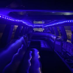 TTG’s Limousine Services