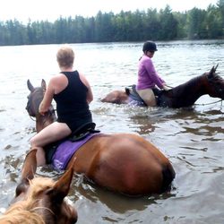 Horse Country Campground