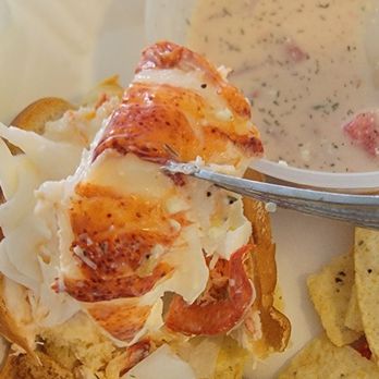 Lobster Pound - Huge piece of lobster tail from my lobster roll - Seafood Markets Near Me - Bradenton, Florida Lobster Pound - Huge piece of lobster tail from my lobster roll - Seafood Markets Near Me - Bradenton, Florida