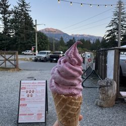 Raspberry