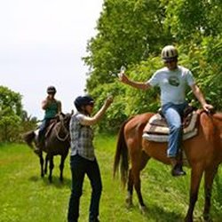 Breakaway Farm - Romantic champagne toast for an engagement