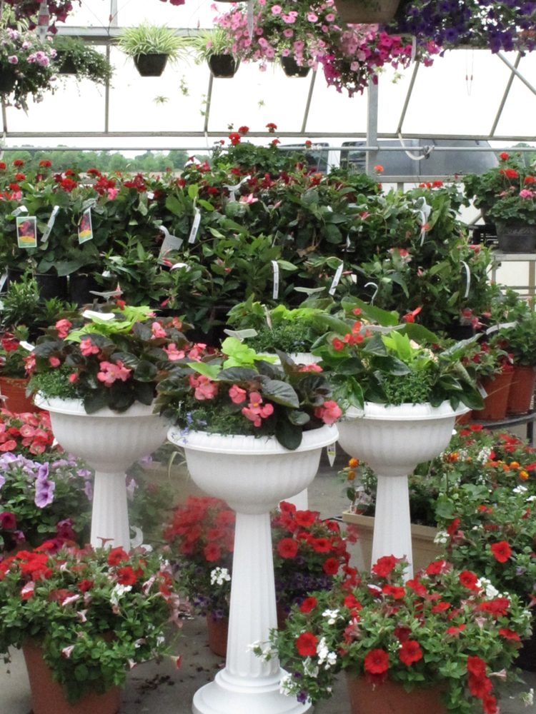 DILL’S GREENHOUSE Updated September 2024 25 Photos & 24 Reviews 5800 Rager Rd, Groveport