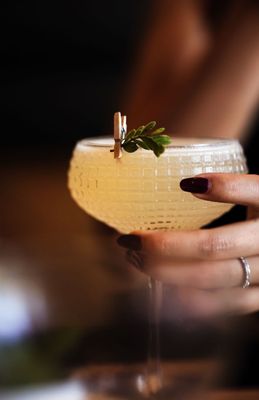 Jaguar Paw Bar by null
