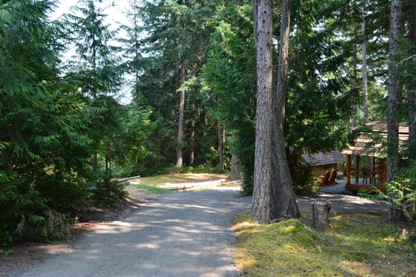 WOODS on Pender by null