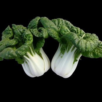 Twilley Seed Co - Chinese Cabbage Pak Choi Asian Delight - Home & Garden Near Me - Hodges, South Carolina