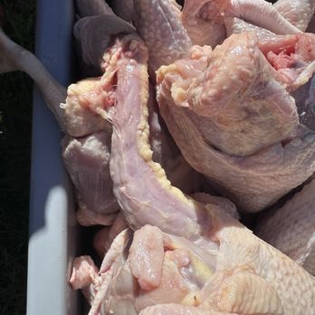 Vang's Chicken Farm - Meat Shops Near Me - Fresno, California