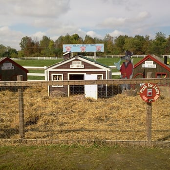 Three Cedars Farm - Christmas Trees Near Me - Northville, Michigan