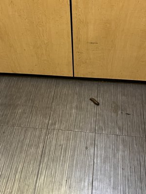 Jia Apartments by null