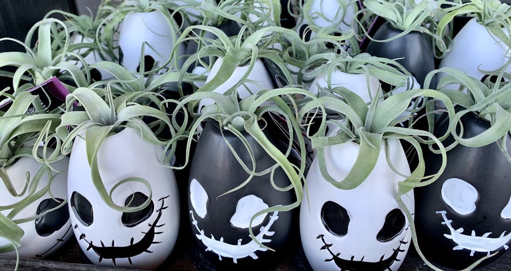 TRADER JOE’S 617 Photos & 168 Reviews 1885 S Centre City Pkwy