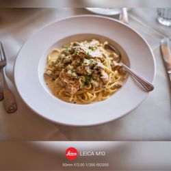 Lion's Mane Over Pasta with Champagne Sauce