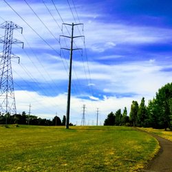 Waterhouse Park - Powerlines