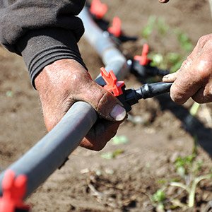 Slide of Taylor Plumbing
