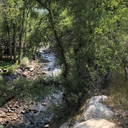 The Rio Grande Trail - Serenity (August, 2020)
