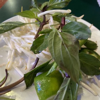 Pho Vi Hoa - Pho - Vietnamese Near Me - Los Altos, California Pho Vi Hoa - Pho - Vietnamese Near Me - Los Altos, California
