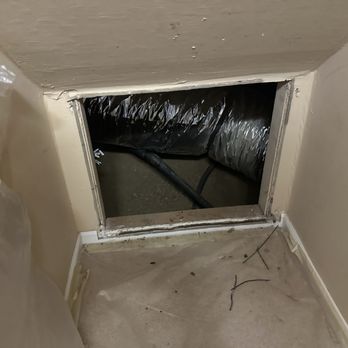 Attic Pros - Pest Control Near Me - Oakland, California Attic Pros - Pest Control Near Me - Oakland, California