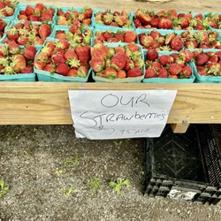 Maple Acre Farms - Strawberries