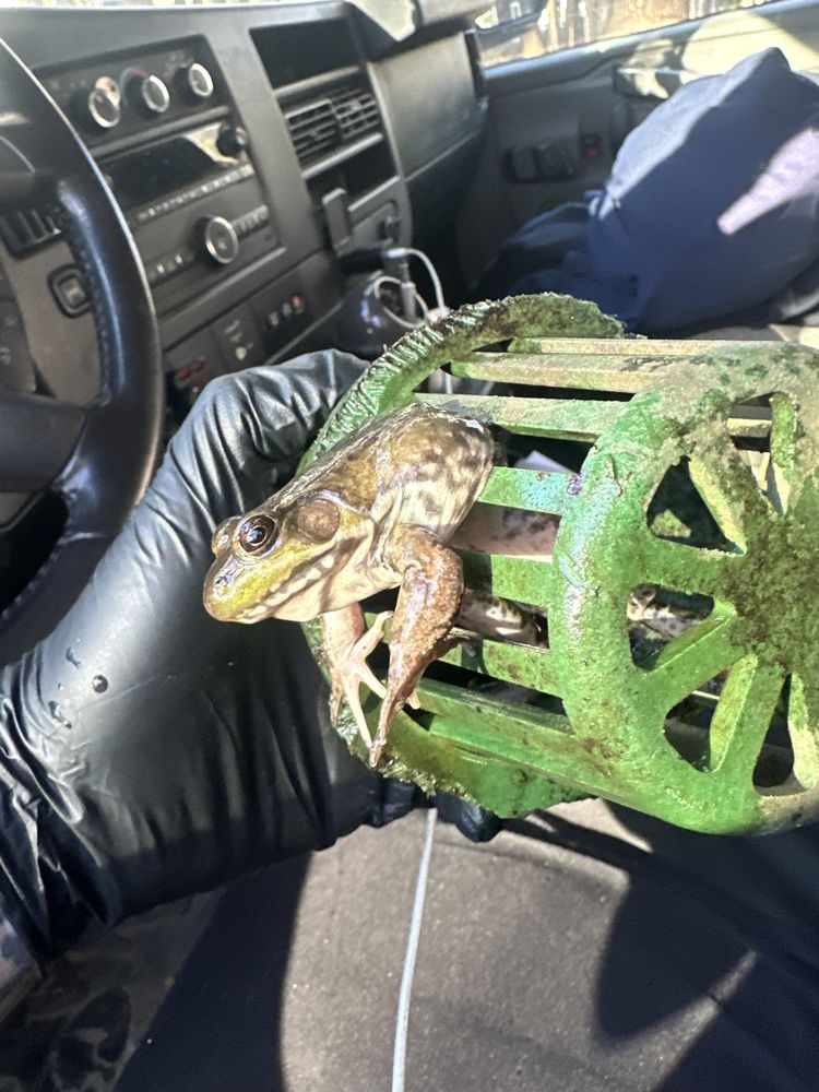 Slide of Rooter-Man of Southern Maine and New Hampshire